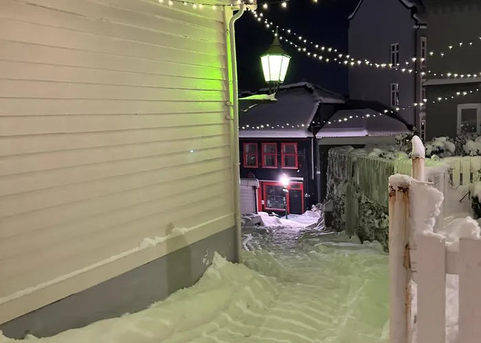 Bergenshus Rett Ved Bryggen I Апартаменты Берген