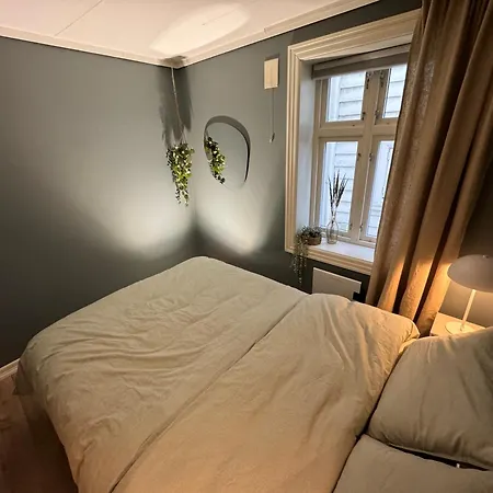 Bergenshus Rett Ved Bryggen I