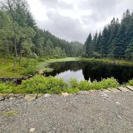 Daire Bergenshus Rett Ved Bryggen I